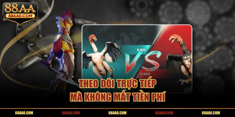 Theo dõi đá gà thomo trực tiếp không mất phí